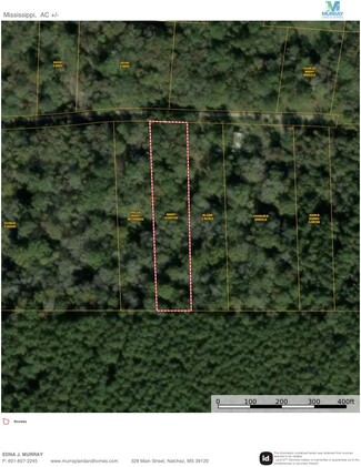 Plus de détails pour 95 Benny Rd, Roxie, MS - Terrain à vendre