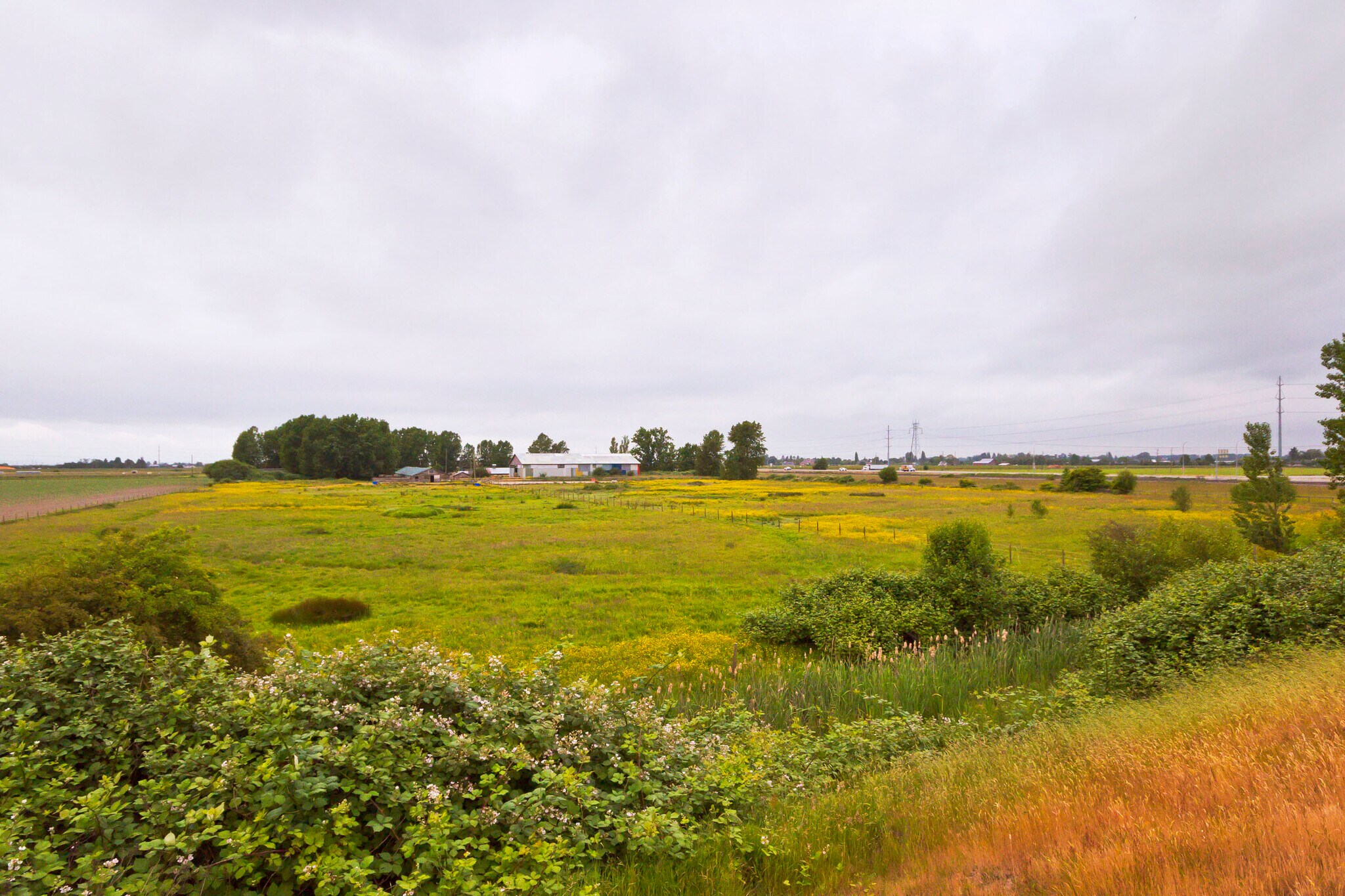 2990 57B St, Delta, BC for sale Primary Photo- Image 1 of 1