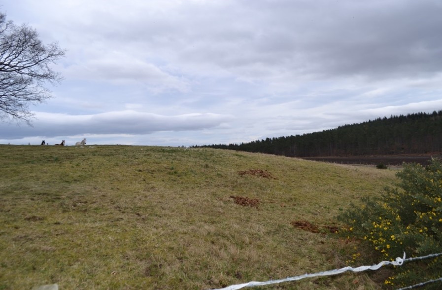 Lochs Farm, Fochabers for sale - Primary Photo - Image 1 of 1