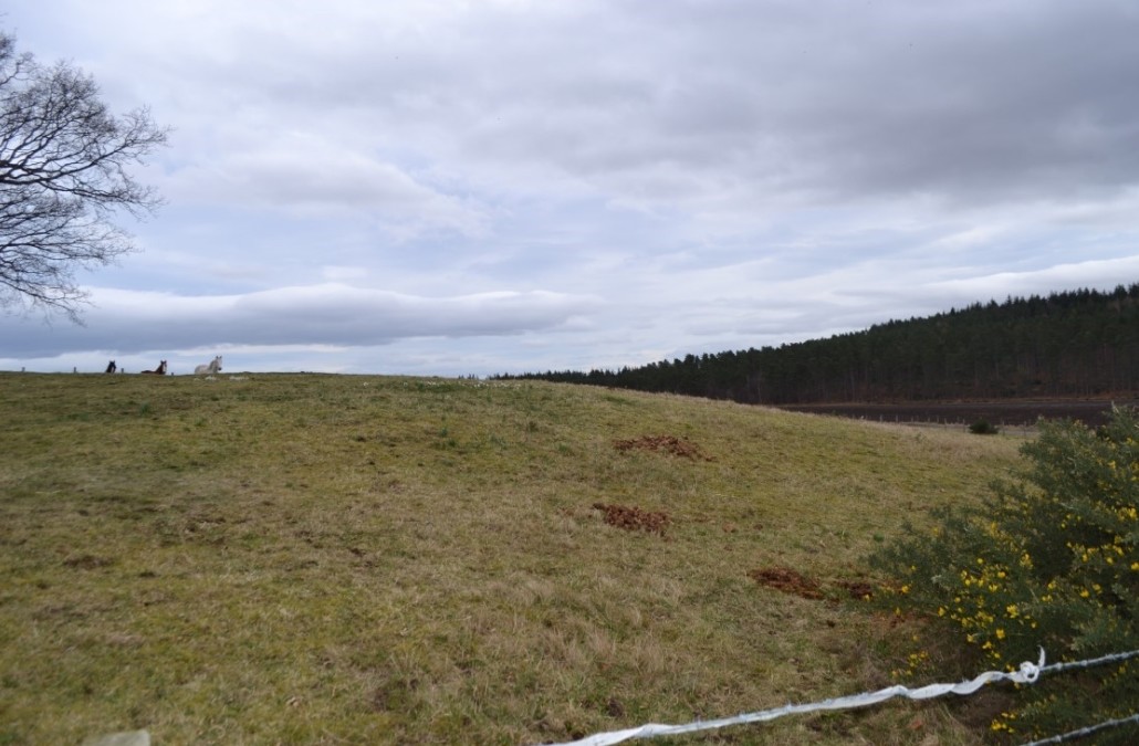 Lochs Farm, Fochabers for sale Primary Photo- Image 1 of 2