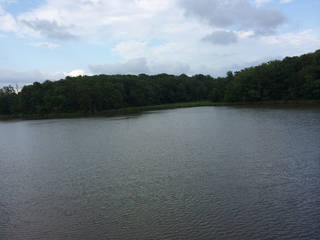 1090 S HENRY St, Williamsburg, VA à vendre Autre- Image 1 de 10