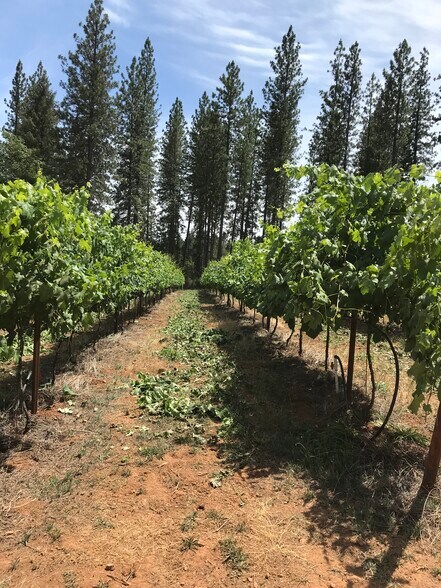 14762 Wabash Ave, Grass Valley, CA à vendre - Photo du bâtiment - Image 3 de 5