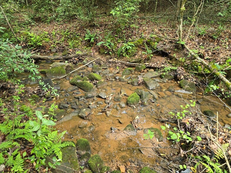 Davis Lake Rd, Thomaston, GA à vendre - Photo du bâtiment - Image 3 de 34