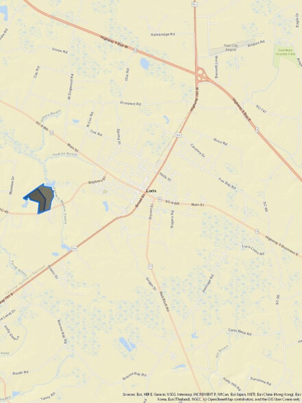 750 Highway 45, Loris, SC for sale - Primary Photo - Image 2 of 2