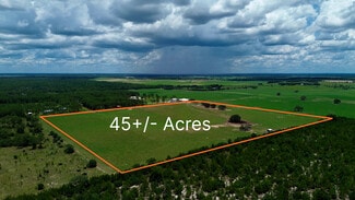 Plus de détails pour 54th St, Morriston, FL - Terrain à vendre