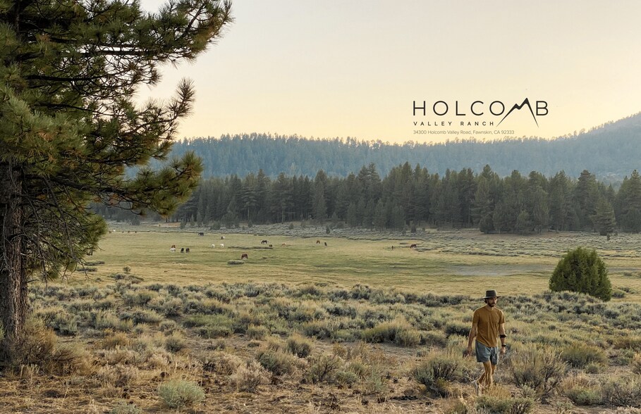 34300 Holcomb Valley Rd, Fawnskin, CA à vendre - Photo principale - Image 1 de 30