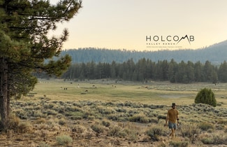 Plus de détails pour 34300 Holcomb Valley Rd, Fawnskin, CA - Terrain à vendre