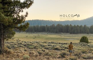 Plus de détails pour 34300 Holcomb Valley Rd, Fawnskin, CA - Terrain à vendre