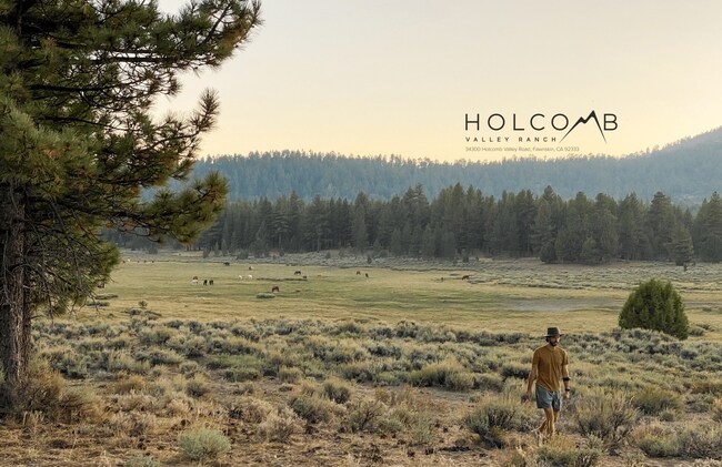 More details for 34300 Holcomb Valley Rd, Fawnskin, CA - Land for Sale