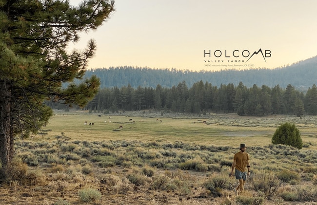 Plus de détails pour 34300 Holcomb Valley Rd, Fawnskin, CA - Terrain à vendre