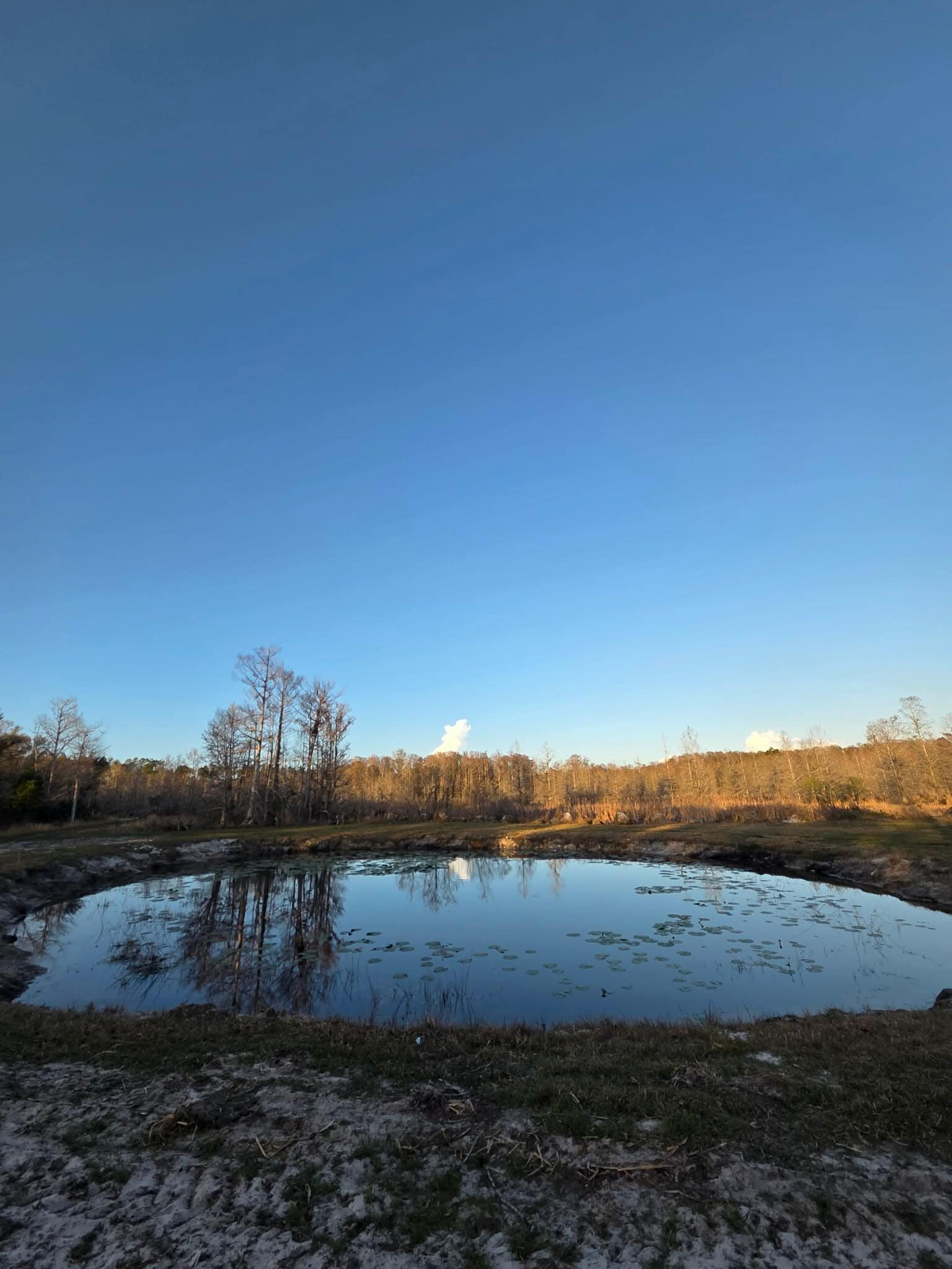 1106 Fox Hunter rd, Perry, FL for sale Primary Photo- Image 1 of 14