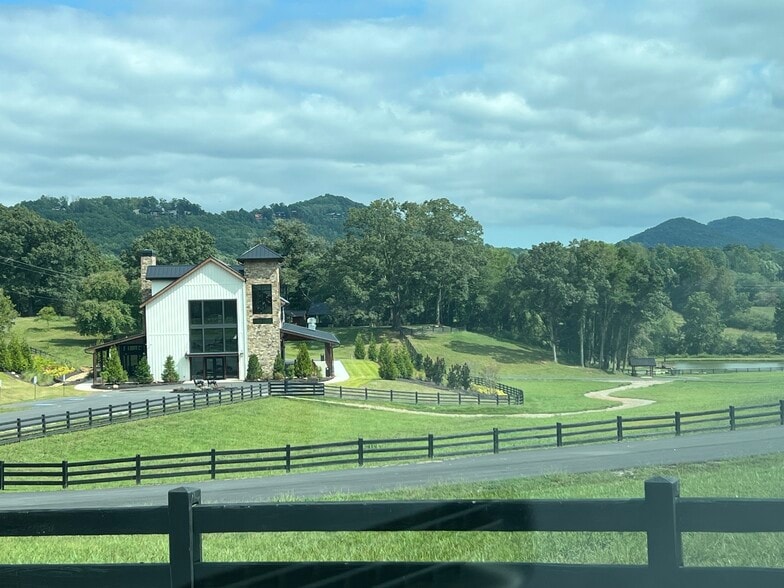 1019 Hardscrabble Rd, Mineral Bluff, GA for sale - Building Photo - Image 2 of 59