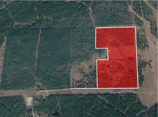 More details for 9118 Hazy Hollow Ln, Anderson, TX - Land for Sale