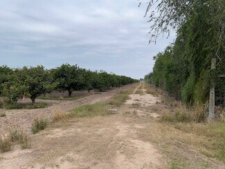Plus de détails pour 42.90 Acs at NE Corner of S. Stewart & Hall Acres, San Juan, TX - Terrain à vendre