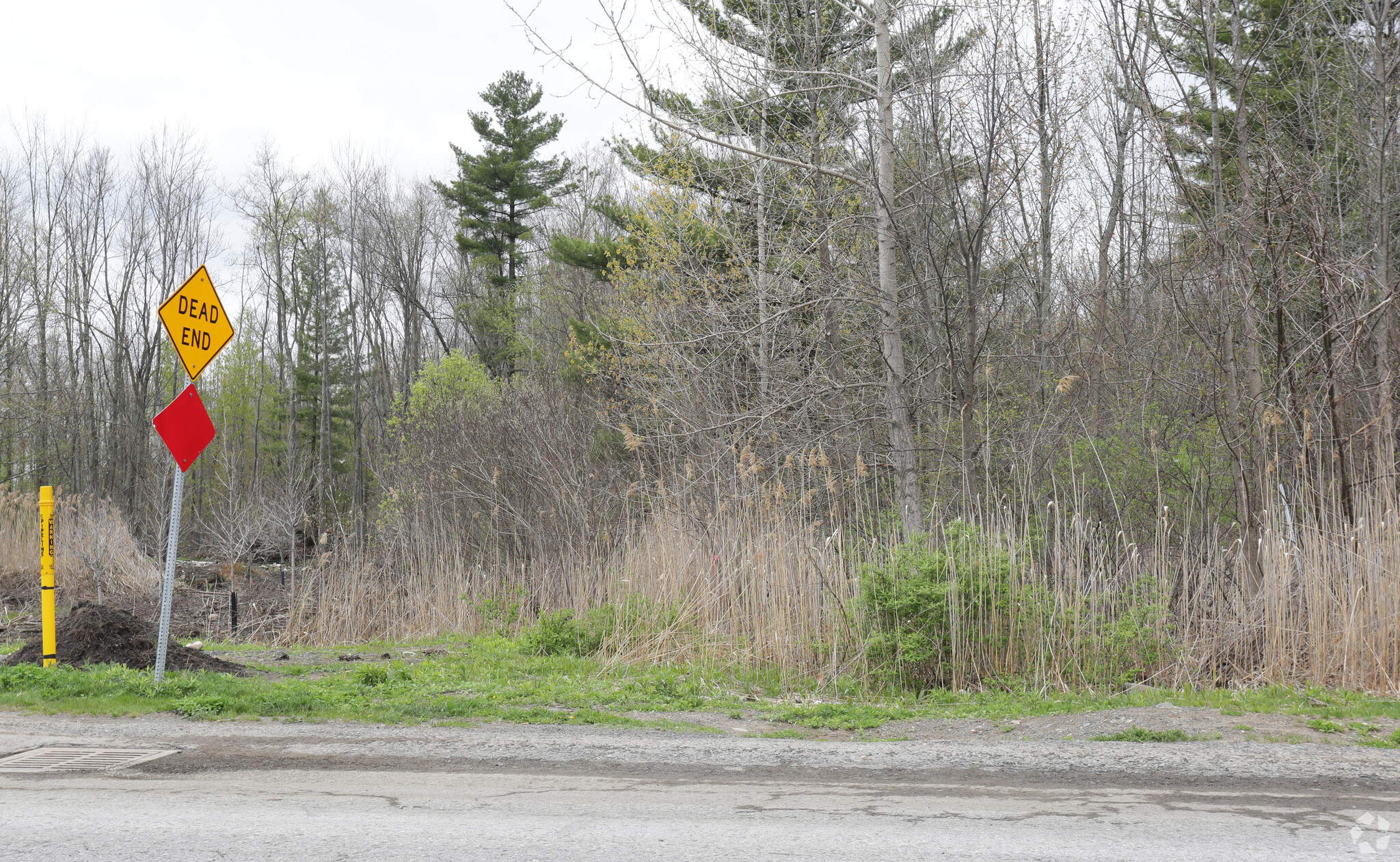 Land in Latham, NY for sale Primary Photo- Image 1 of 1