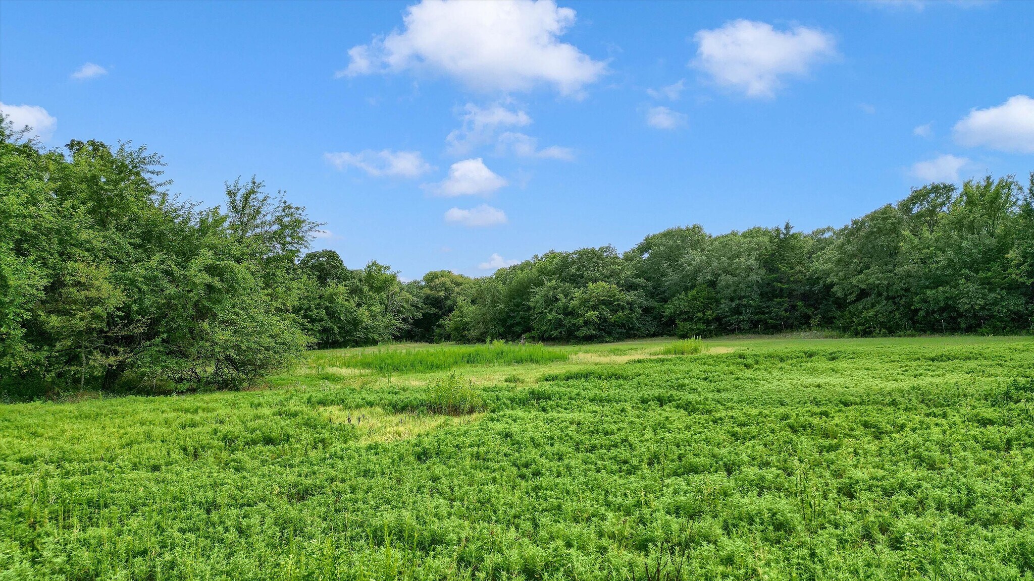 TBD County Road 265, Collinsville, TX à vendre Photo du bâtiment- Image 1 de 1