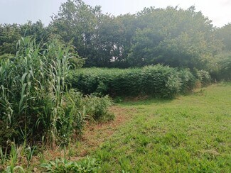 Plus de détails pour Camiño San Xurxo, Vigo - Terrain à vendre