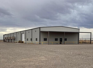 Plus de détails pour 491 Blackbird Dr, Pecos, TX - Industriel à vendre