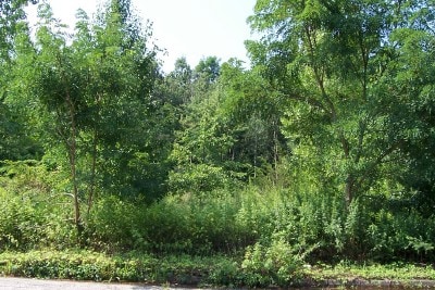 1 Barnet Rd, Montville Township, NJ for sale Primary Photo- Image 1 of 11