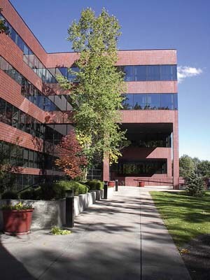 4251 Kipling St, Wheat Ridge, CO à louer - Photo du bâtiment - Image 3 de 22