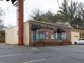 Plus de détails pour 105 Riverstone Pky, Canton, GA - Commerce de détail à vendre