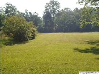 Plus de détails pour 1117 Hooks Lake Rd, Gadsden, AL - Terrain à vendre