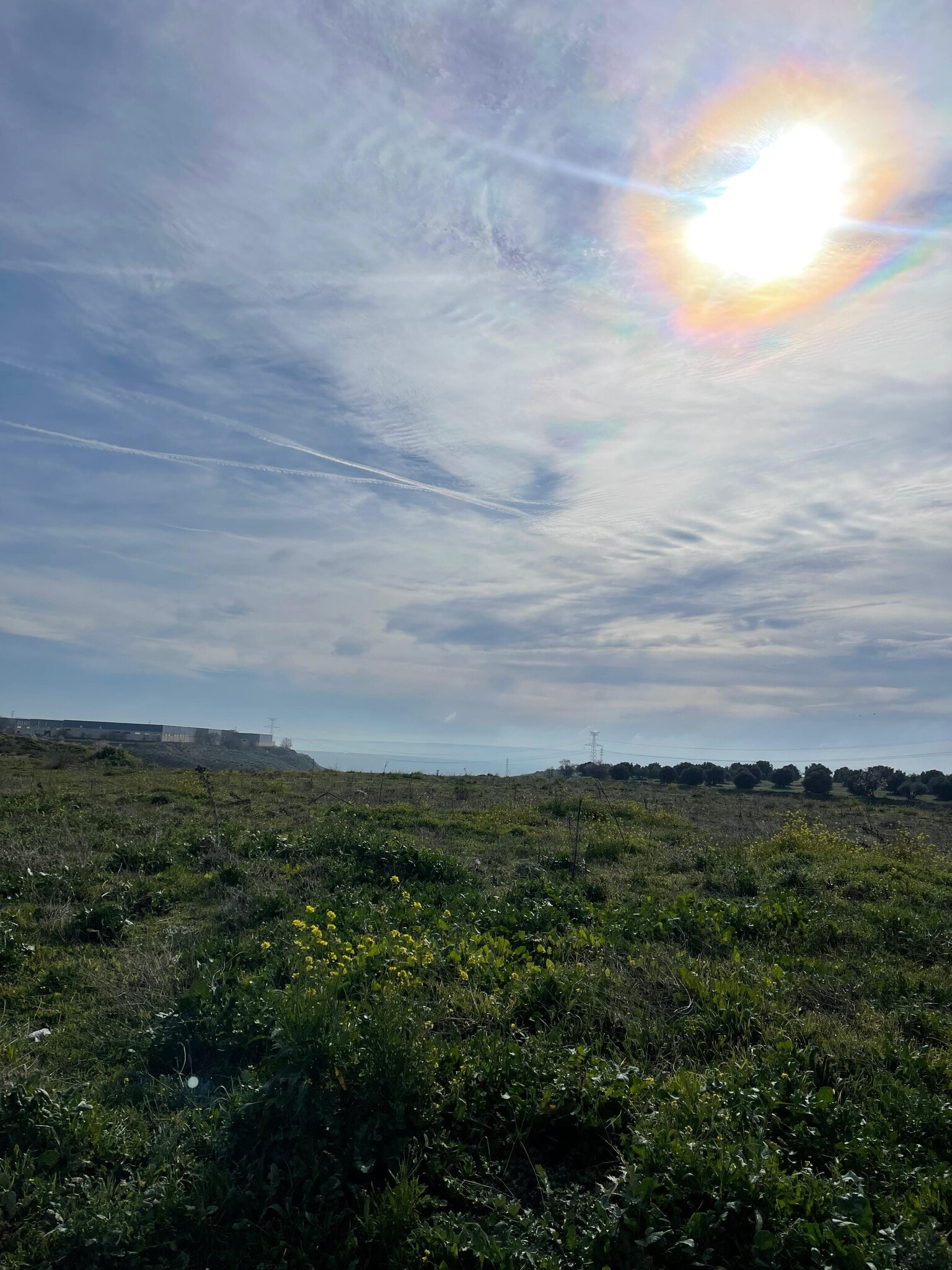 Calle Carretera CM-4010, Seseña Nuevo, Toledo à vendre Autre- Image 1 de 5