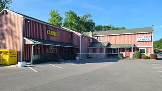 Plus de détails pour 1993 Milford Rd, East Stroudsburg, PA - Vente au détail à vendre