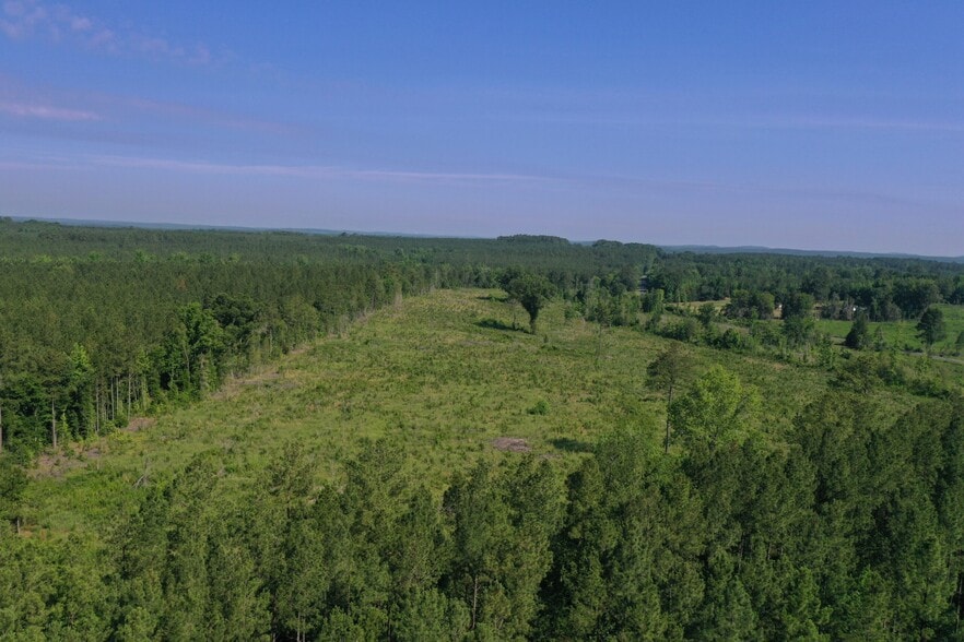 00 Everett Chappell Rd, Mount Gilead, NC for sale - Building Photo - Image 2 of 29