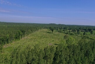 Plus de détails pour 00 Everett Chappell Rd, Mount Gilead, NC - Terrain à vendre
