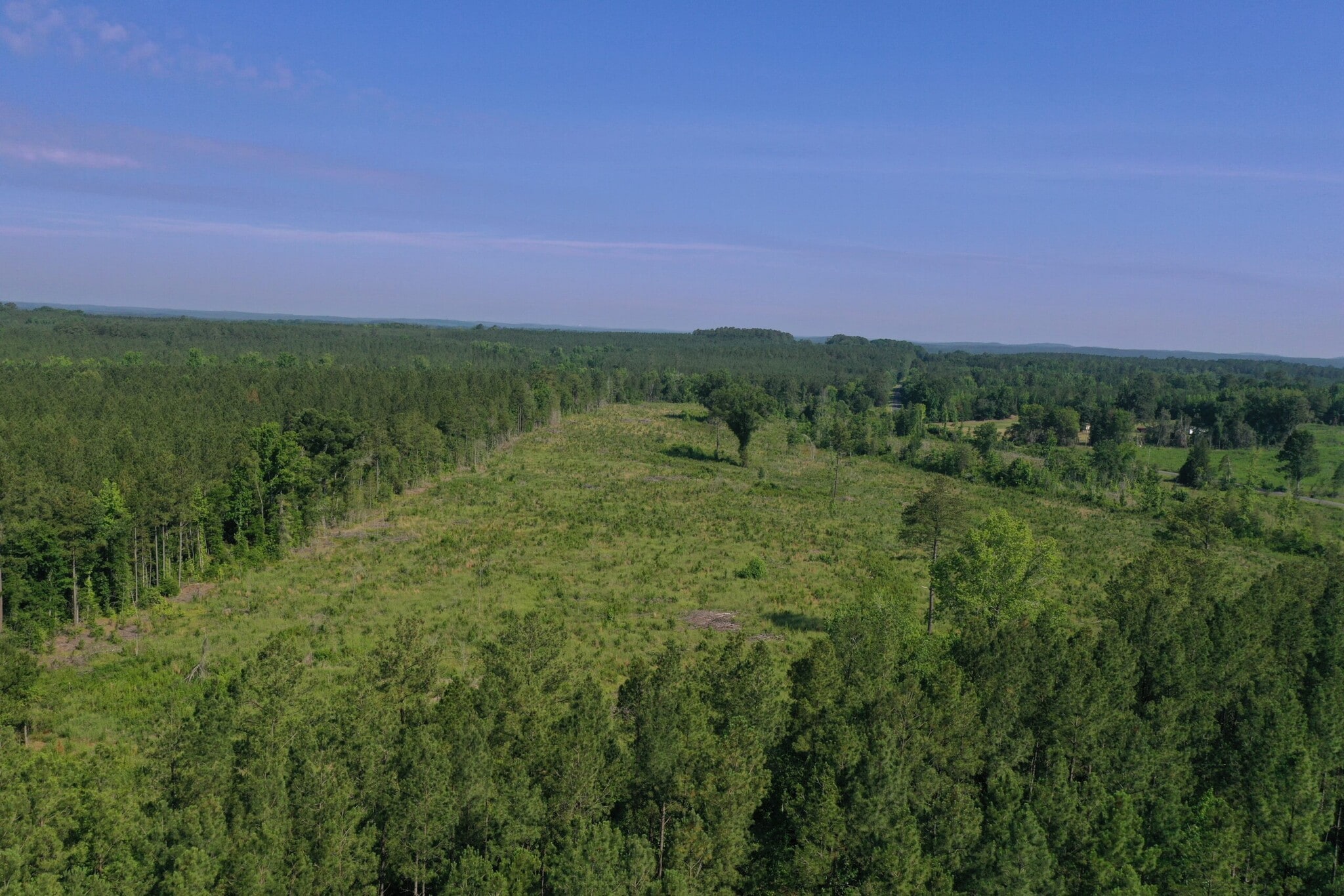 00 Everett Chappell Rd, Mount Gilead, NC for sale Building Photo- Image 1 of 30