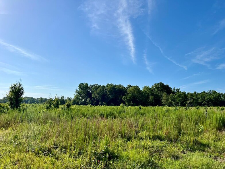 0 Tucker Grove Church Rd, Wrightsville, GA for sale - Primary Photo - Image 1 of 2