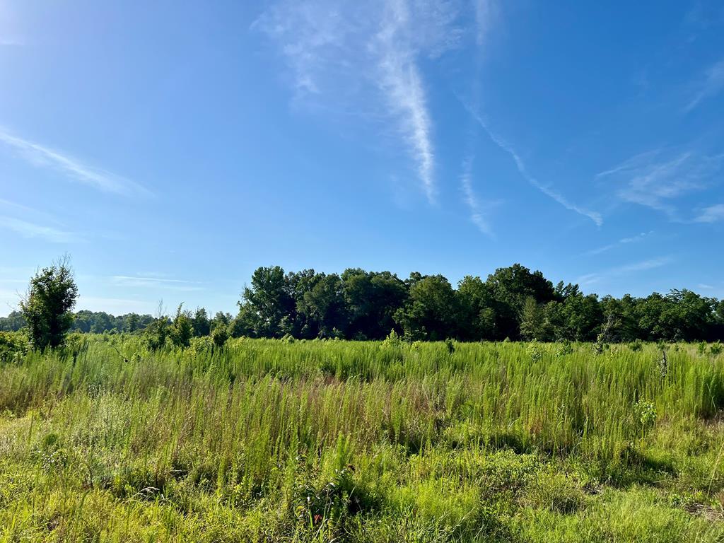 0 Tucker Grove Church Rd, Wrightsville, GA for sale Primary Photo- Image 1 of 3