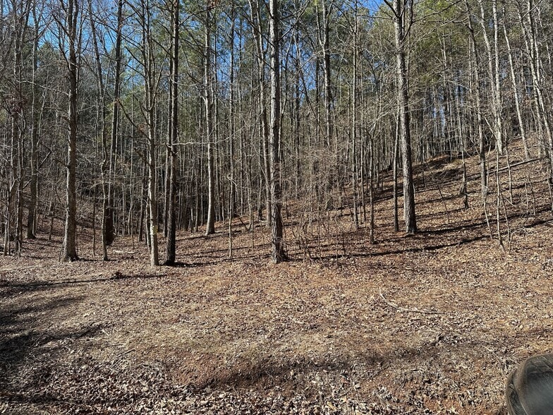 3472 Prior Station Rd, Cedartown, GA for sale - Building Photo - Image 3 of 73