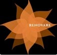 Renovare Development