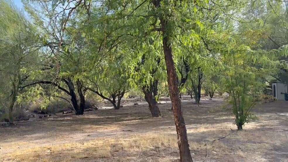 160 +/- Acres Juanita Springs Ranch, Bunkerville, NV for sale - Commercial Listing Video - Image 2 of 14