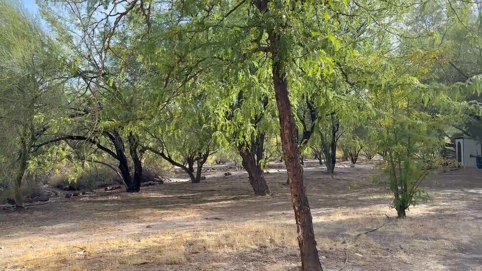 160 +/- Acres Juanita Springs Ranch, Bunkerville, NV à vendre - Vidéo sur l’inscription commerciale - Image 2 de 14