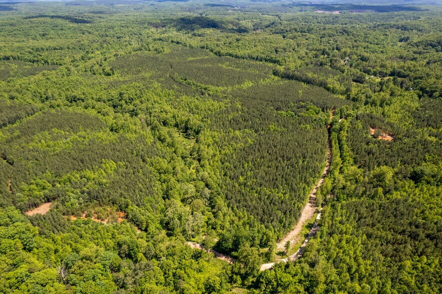 tbd Green Creek Rd, Schuyler, VA à vendre - Photo du bâtiment - Image 2 de 27