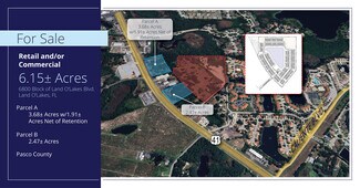 Plus de détails pour 6800 Land O Lakes, Land O' Lakes, FL - Terrain à vendre