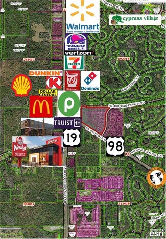 Plus de détails pour Ponce De Leon Land – Terrain à vendre, Homosassa, FL