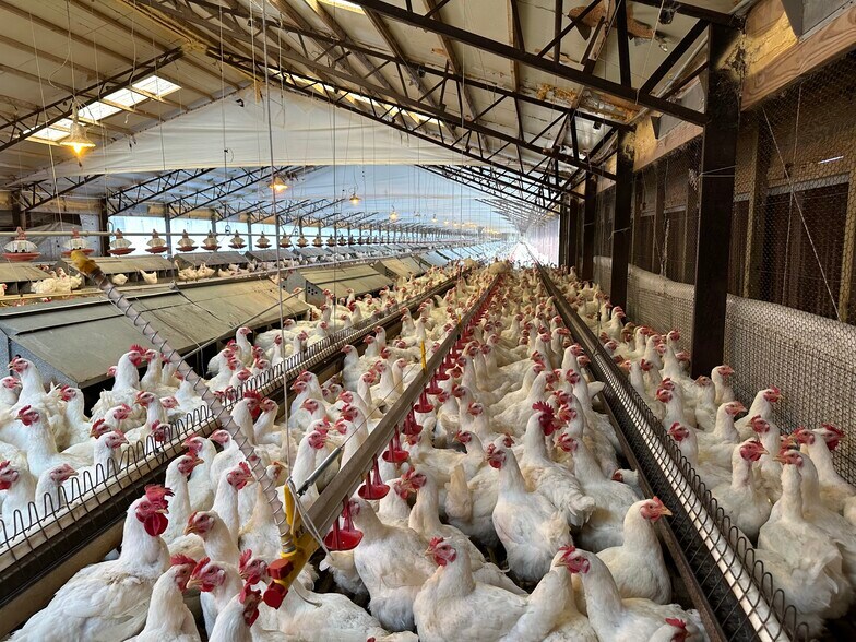 2066 Michulka Ln, Franklin, TX à vendre - Photo intérieure - Image 3 de 3