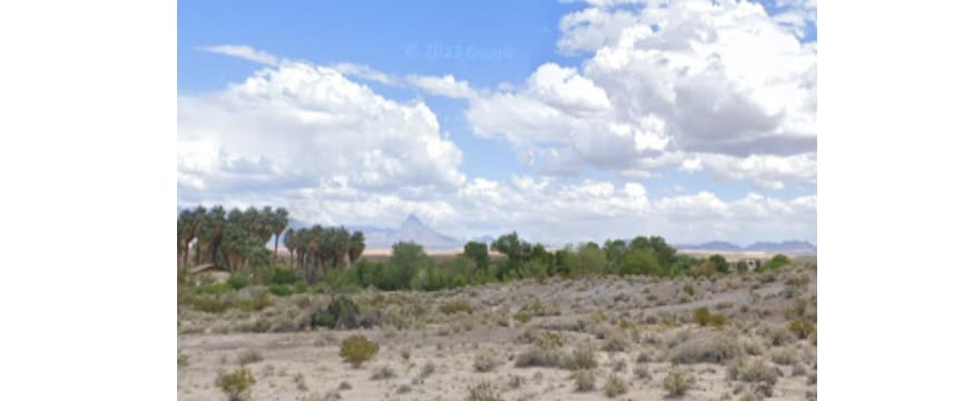 4825 Warm Springs Rd, Moapa, NV à vendre - Photo principale - Image 1 de 3