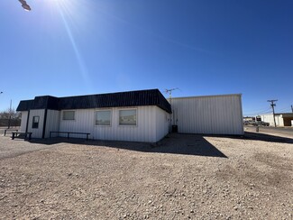 More details for 1599 FM 300, Levelland, TX - Industrial for Sale