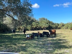 Roberts Ranch Road, Clewiston FL - Services immobiliers commerciaux