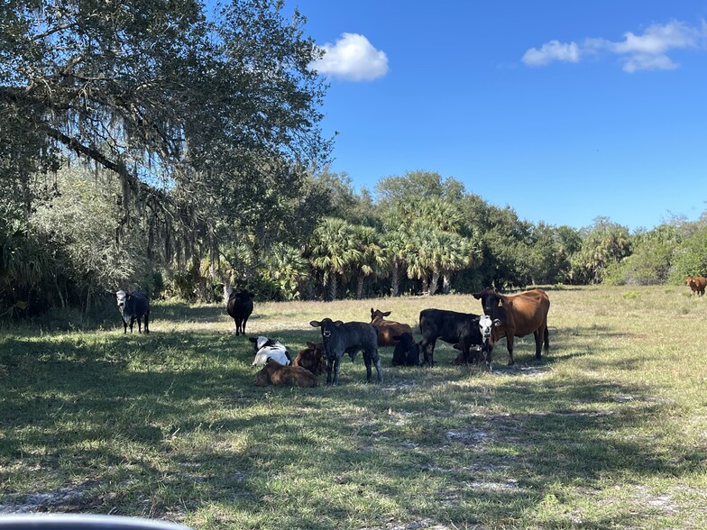 Roberts Ranch Road, Clewiston, FL à vendre - Autre - Image 1 de 40