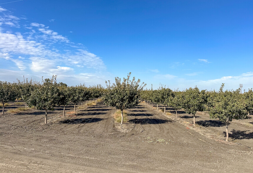 Buttonwillow Drive, Buttonwillow, CA for sale - Building Photo - Image 2 of 9