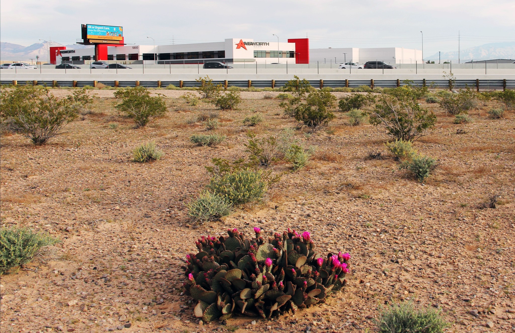 I-215, Las Vegas, NV for sale Building Photo- Image 1 of 1