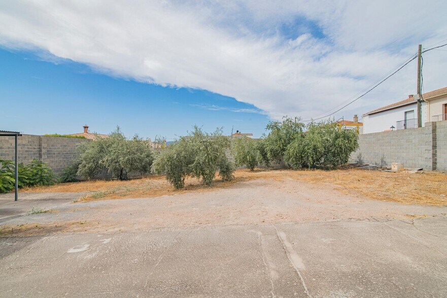 Nivar, 40, Moraleda de Zafayona, Granada à vendre - Photo du bâtiment - Image 2 de 18