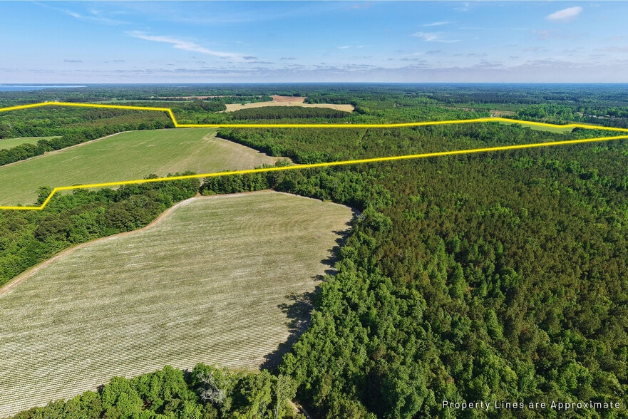 0 155.9 ac Westberry Dr, Vance, SC for sale - Building Photo - Image 2 of 22