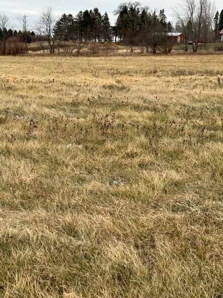 Schumann Dr, Stewartville, MN for sale - Building Photo - Image 3 of 7